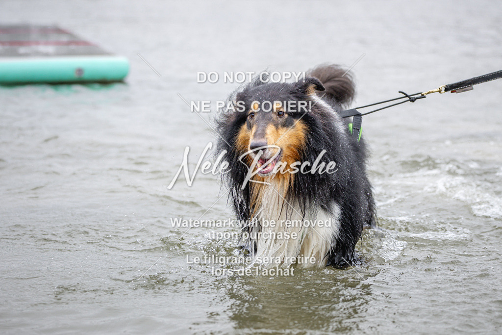 nelerasche_Hulsbeek_Sa1030-1100_779 | nelerasche