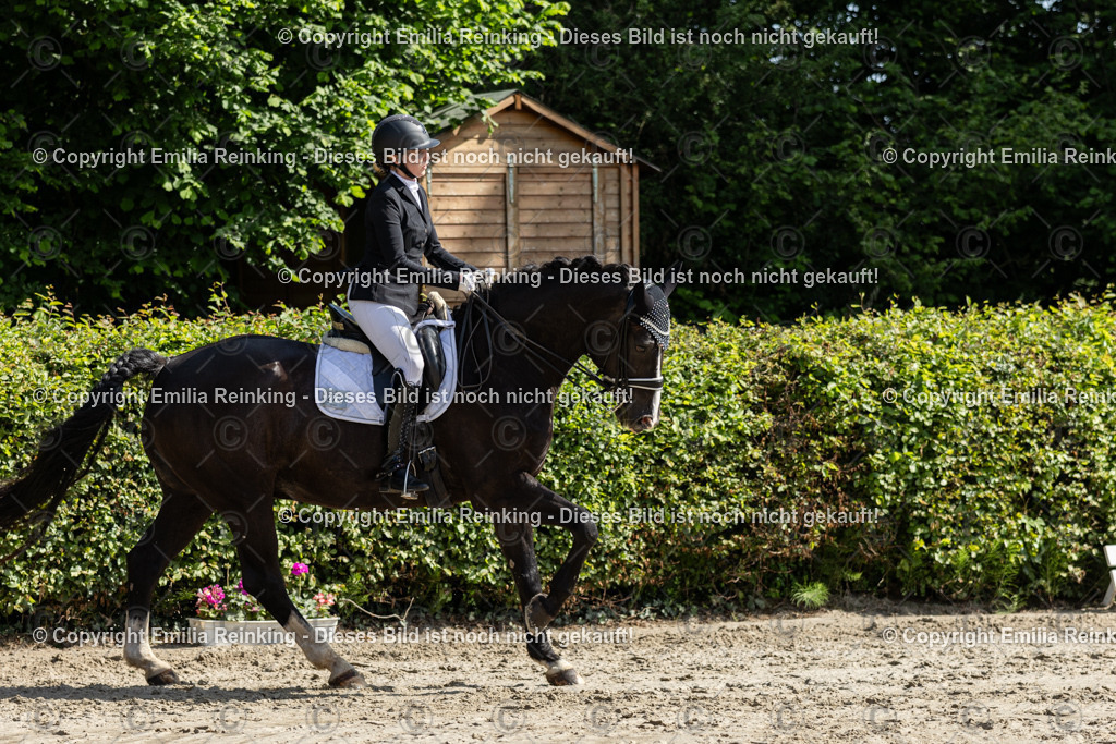 CL5A7341 | Emilia Reinking Fotografie - Realisiert mit Pictrs.com