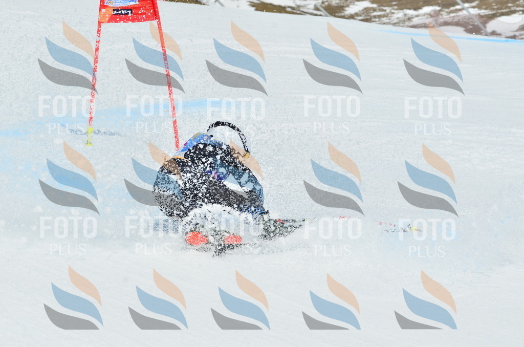 _ELE2770 | holidayphoto