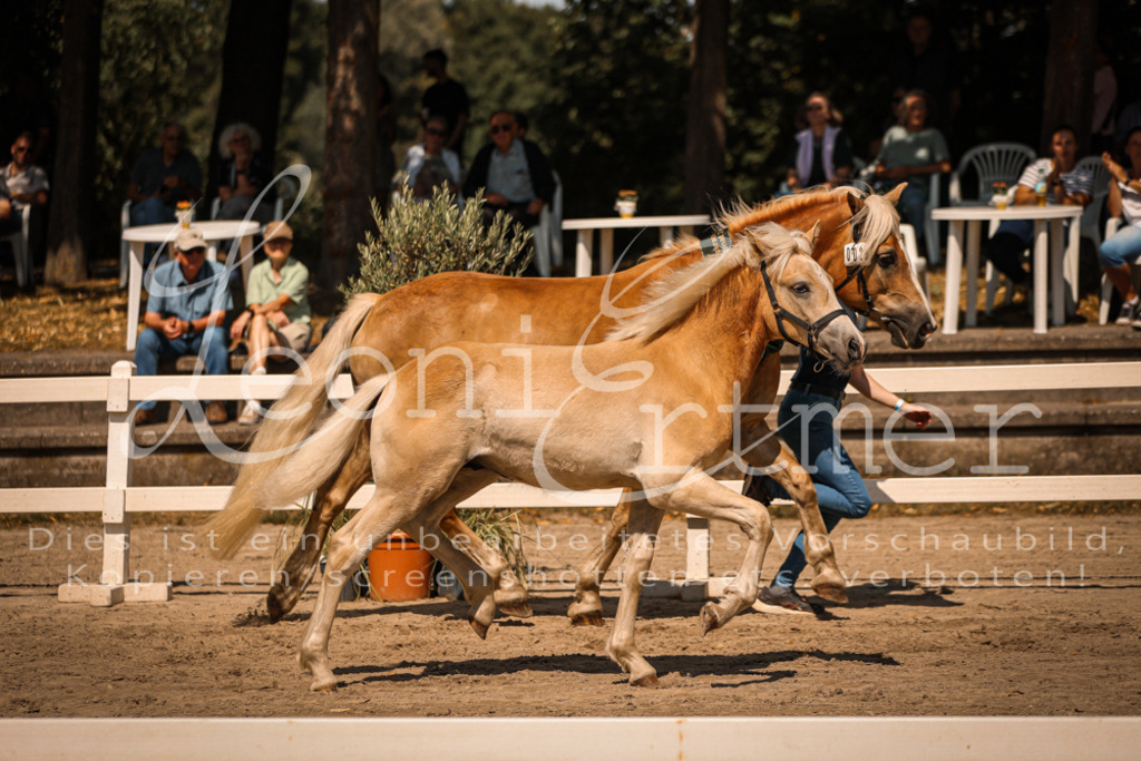 06.DoH00162 | Leoni Ertmer Photography - Realisiert mit Pictrs.com