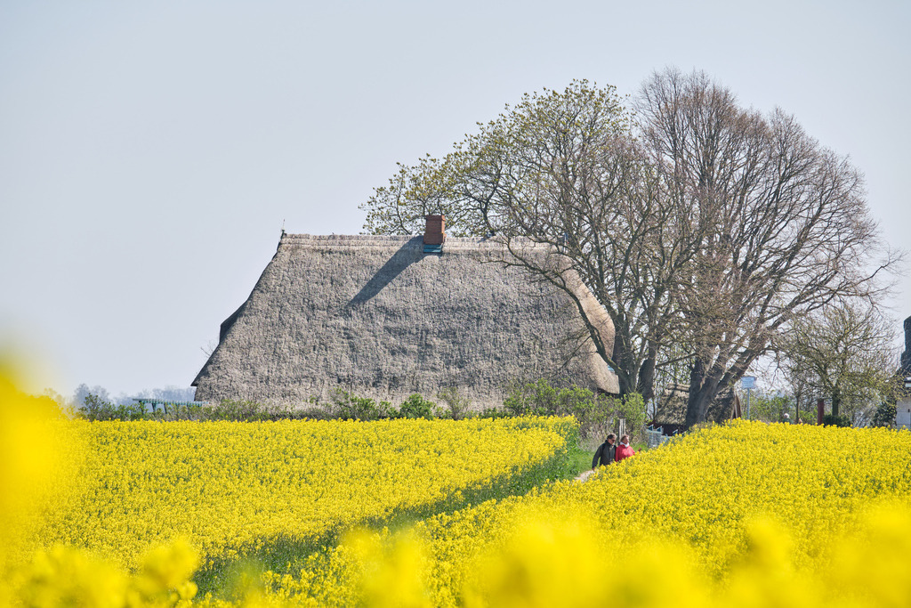 DSCF2215 | Entdecken Sie hochwertige Fotoprodukte für Ihr Zuhause, Büro oder als besonderes Geschenk.rpixel.de bietet Ihnen exklusive Fotografien aus den Bereichen Natur, Landschaft und Motiven vom Meer.Einfach direkt im Online-Shop bestellen. - Realisiert mit Pictrs.com