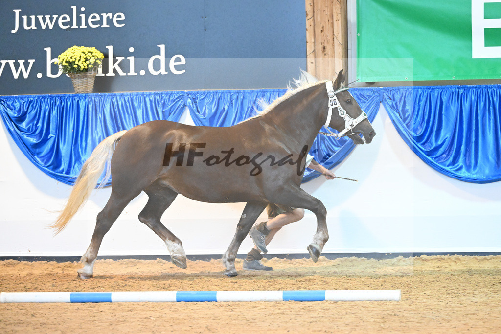 Kat-Nr. 56 Monamour_Buechl_53220138 | hf-fotografie - Realisiert mit Pictrs.com