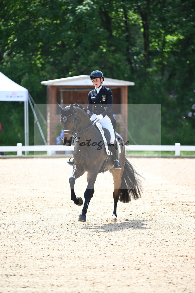 Hendricks_Drombusch OLD_12244073 | hf-fotografie - Realisiert mit Pictrs.com