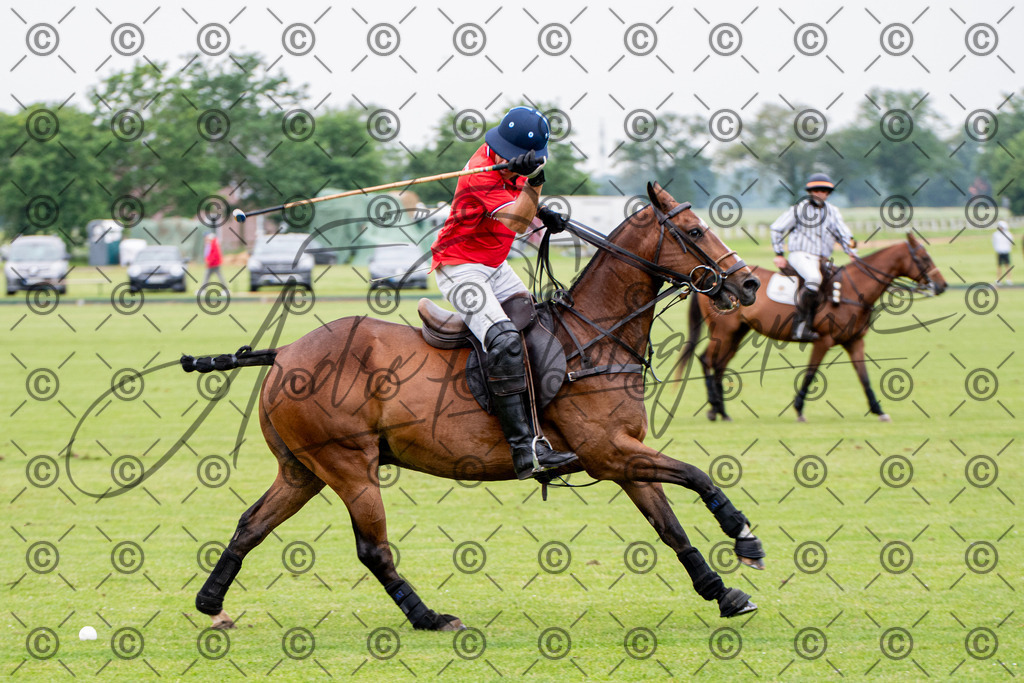 POL_2806 | andre_photographic