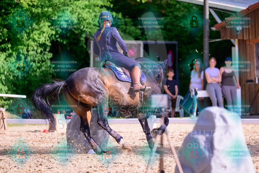 02052026-Giesenbach-03-Speedtrail-0088 | Fokus Hufschlag Fotografie - Realisiert mit Pictrs.com