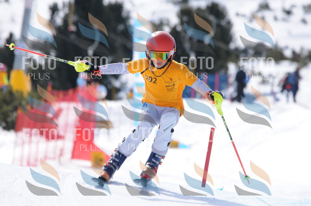 C9070 | holidayphoto