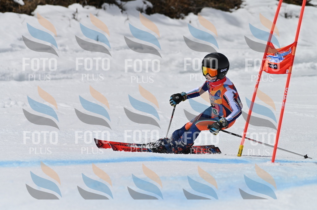 BGV_6729 | holidayphoto