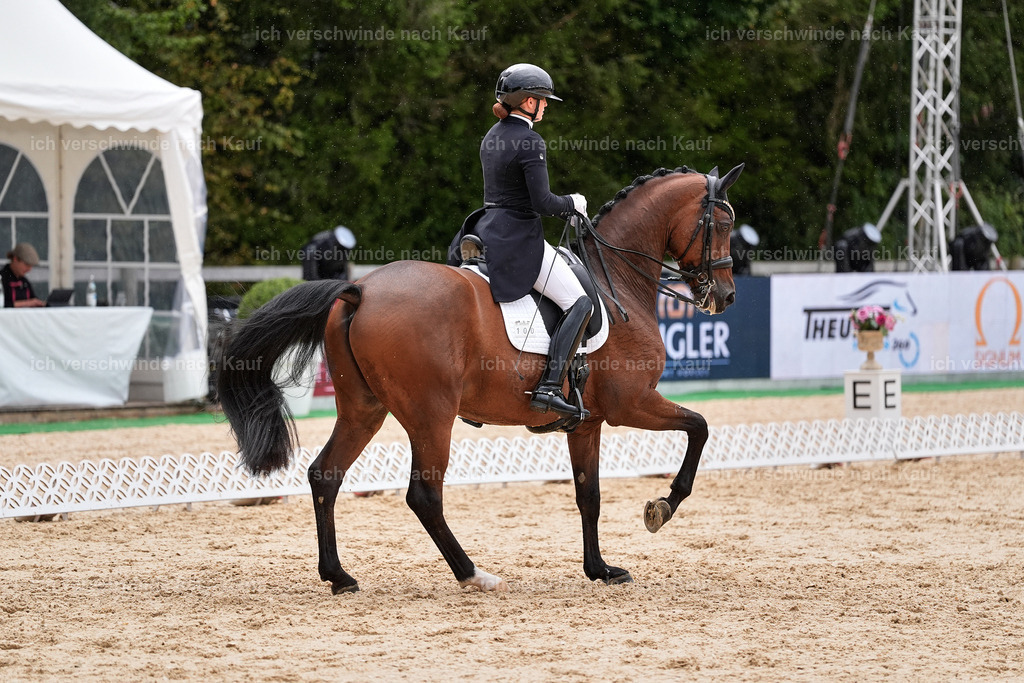 8_1-100-Klasse S_  -StoibPH-3884 | working equitationturnier fotograf videograf stoibphotography marixx film working equitation deutschland reitsport turnierfotografie eventfotografie equestrian events
