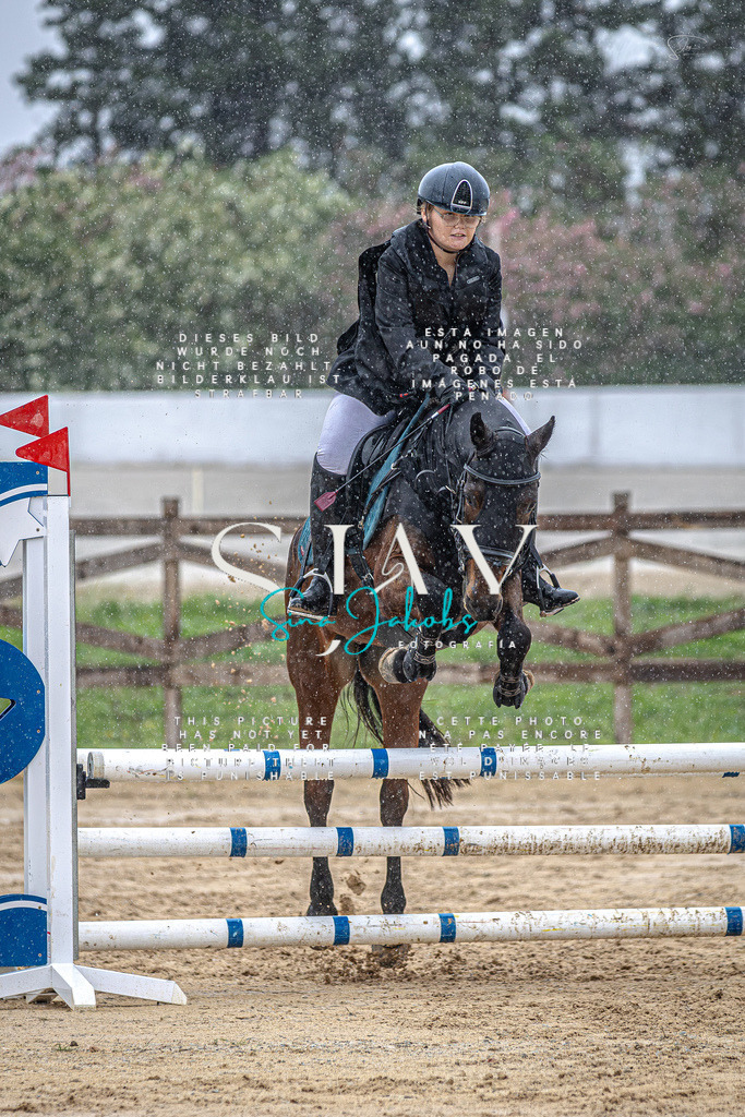 IMG_1911-Verbessert-RR | s-jay-photography - Realisiert mit Pictrs.com