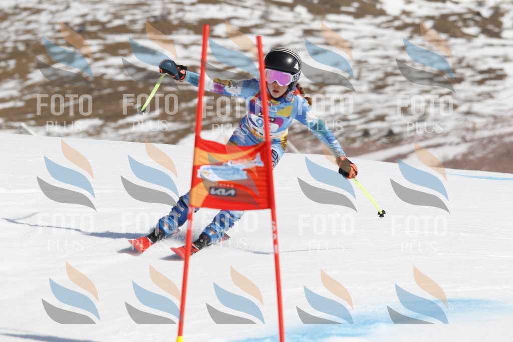 _U3G0253 | holidayphoto