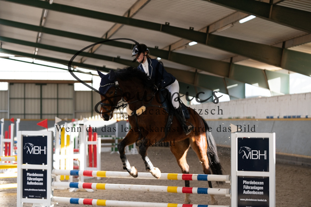 A7V02593 | Pferdefotograf