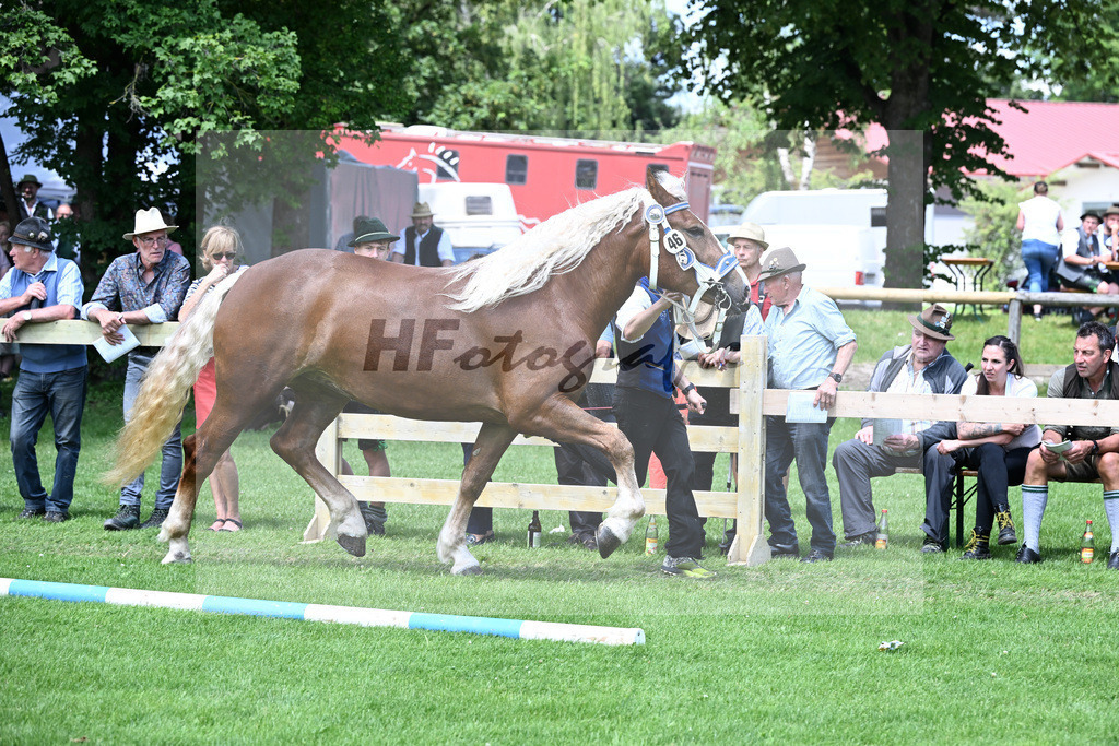 Kat-Nr. 46 Escarda G v. Venturin_Grandauer_22240816 | hf-fotografie - Realizzato con Pictrs.com