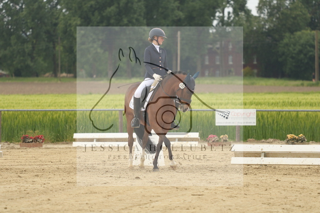 IMG_7138 | jessicahollubetz_pferdephotographie - Realisiert mit Pictrs.com