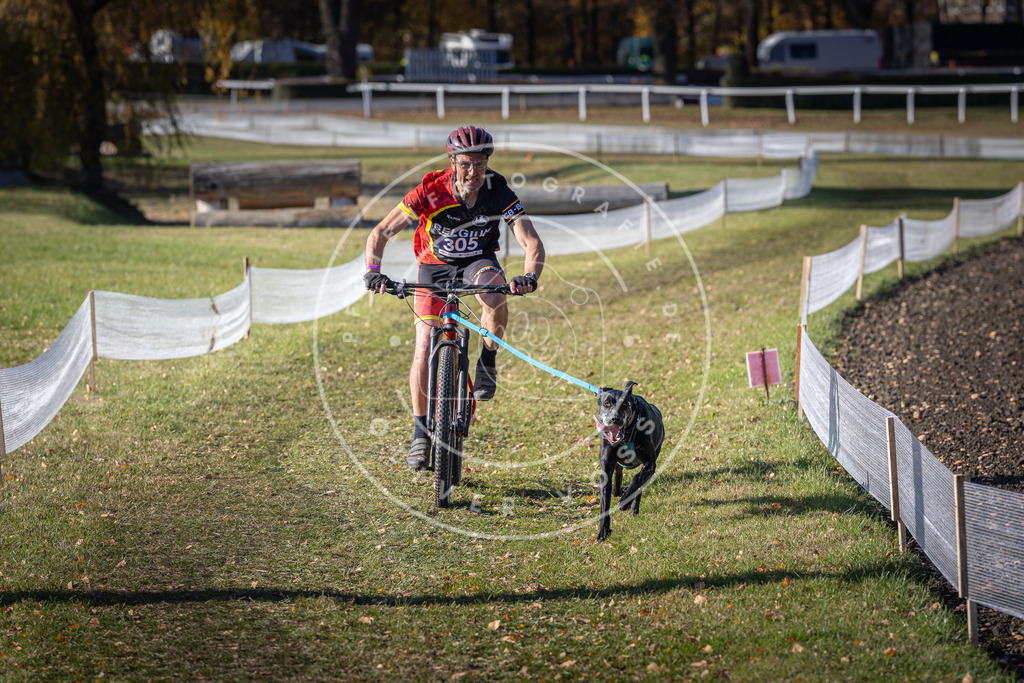 CaniXpix_DV3A6169 | Hundefotografie, Tierfotograf, Pfotenfotografie, Fotoshooting Hund, Hunde Portrait, Hundesport, Hundeportraits, Heideshooting, Hunde, Sportfotograf, Hundefotograf, Turnierhundsport, THS,  - Realisiert mit Pictrs.com