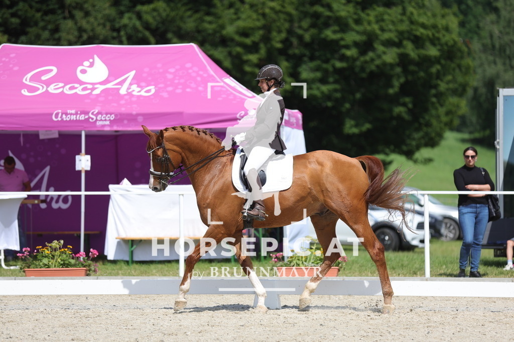 0P6A5678 | Willkommen bei Brunnmayr - Design & Fotografie – Ihrem Spezialisten für Reitturniere und Pferdeveranstaltungen in Oberösterreich, Salzburg und Bayern! Seit über 17 Jahren sind wir leidenschaftlich dabei.