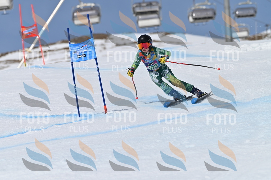 BGV_7351 | holidayphoto