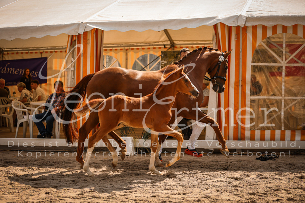 09.DoWBD00025 | Leoni Ertmer Photography - Realisiert mit Pictrs.com