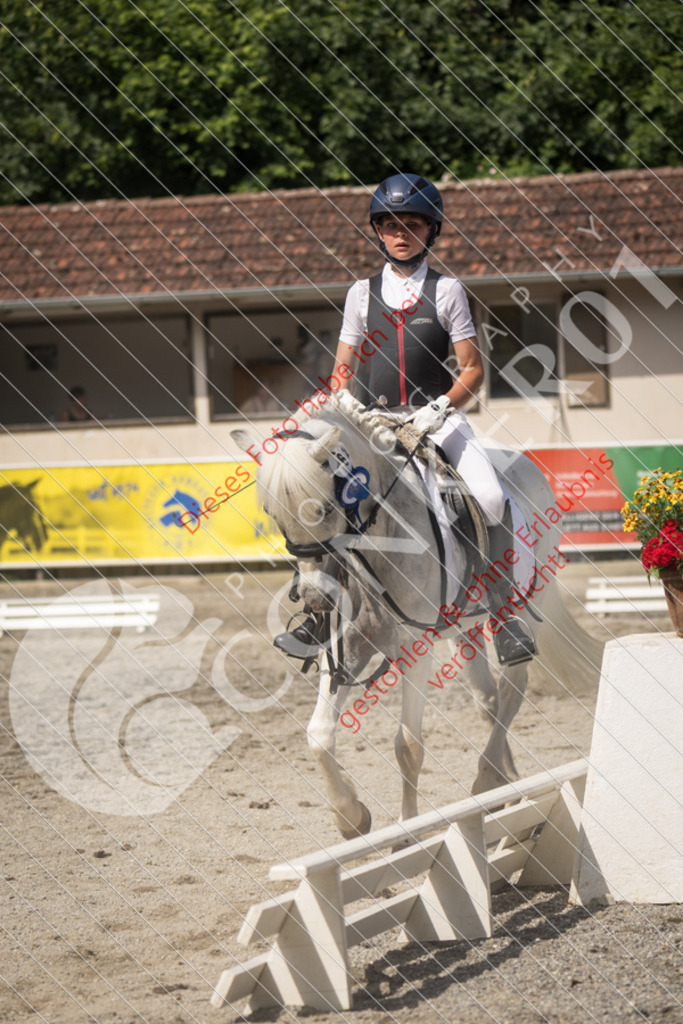 IMG_5240 | Sport-, Event- und Tierfotos in Profiqualität. Einfach auswählen, bestellen und herunterladen. Dein Moment – perfekt festgehalten.