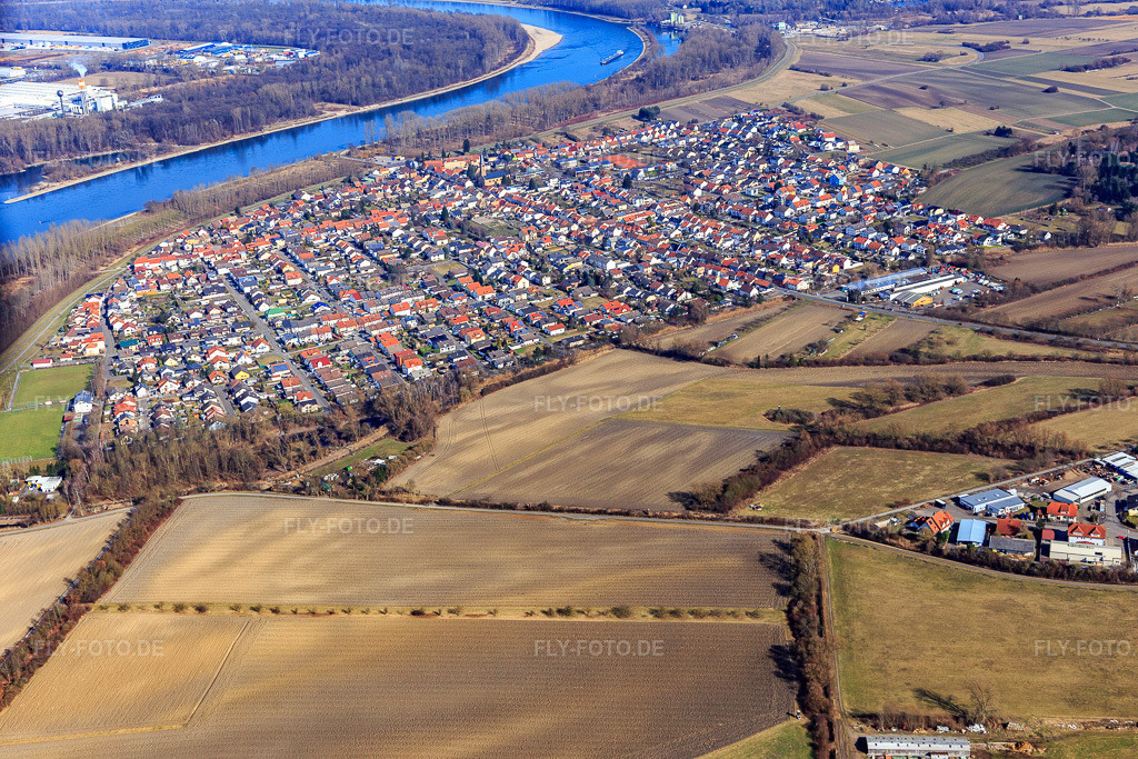 Luftbild: Ortsansicht am Rhein von Süden im Ortsteil Rheinhausen in Oberhausen-Rheinhausen im Bundesland Baden-Württemberg in Deutschland. Foto: IMG_097141.jpg vom 25.02.2017 durch Werner Riehm/FLY-FOTO.de