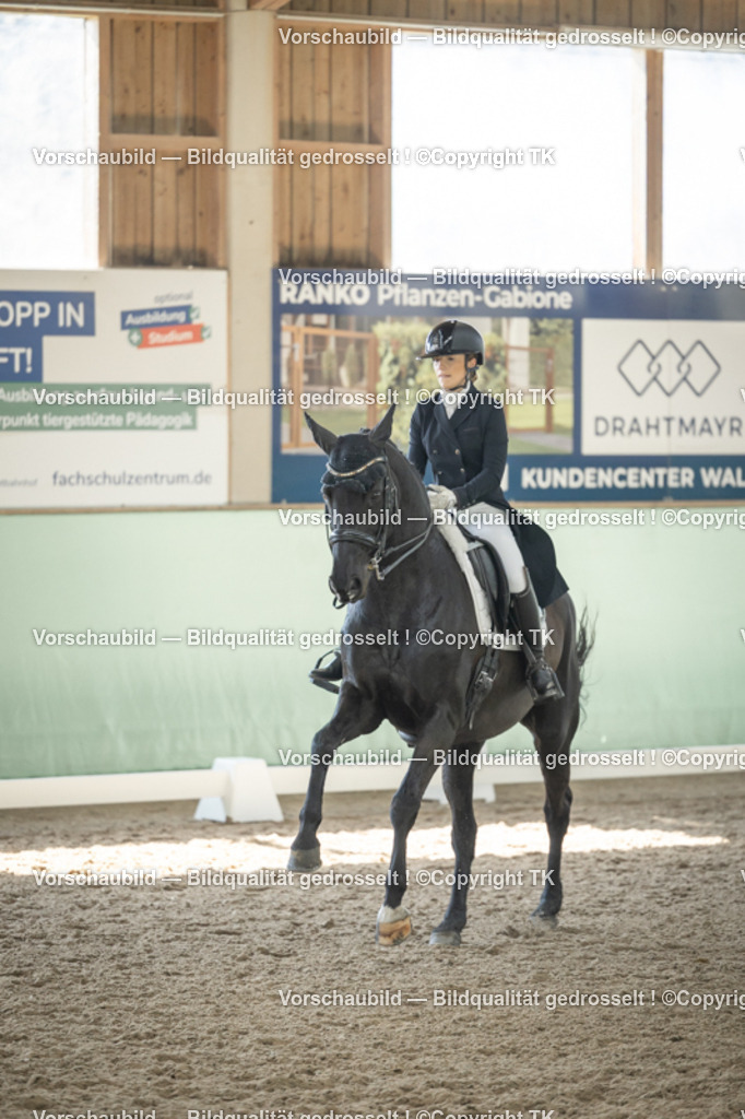 _D5A1708 | Emotionale Pferde- & People-Fotografie rund um Heidelberg, Leimen & Umgebung. Natürliche Fotos von Pferd, Mensch & Familie. Jetzt Termin sichern!