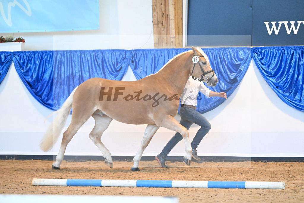Kat-Nr. 12 Sterzing v. Steingold_Niedermair_60220690 | hf-fotografie - Realisiert mit Pictrs.com