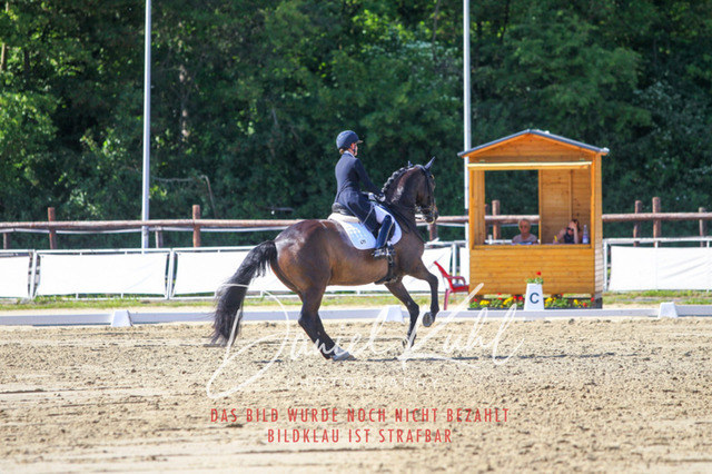 DKP42555 | Turniersportfotografie; Pferdefotografie; Dressurfotografie