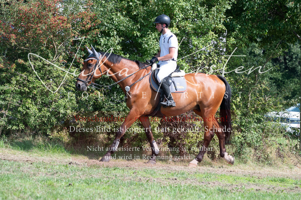 DSC_0781 | Pferde- und Turnierfotografie in Westsachsen. Pferdeportraits, Auftragszeichnungen und intuitive Kunst.