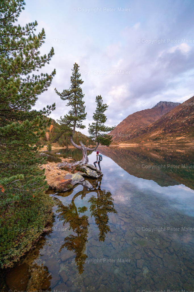 Defereggental_Herbst_Oktober_2024-502 | piet_flosse