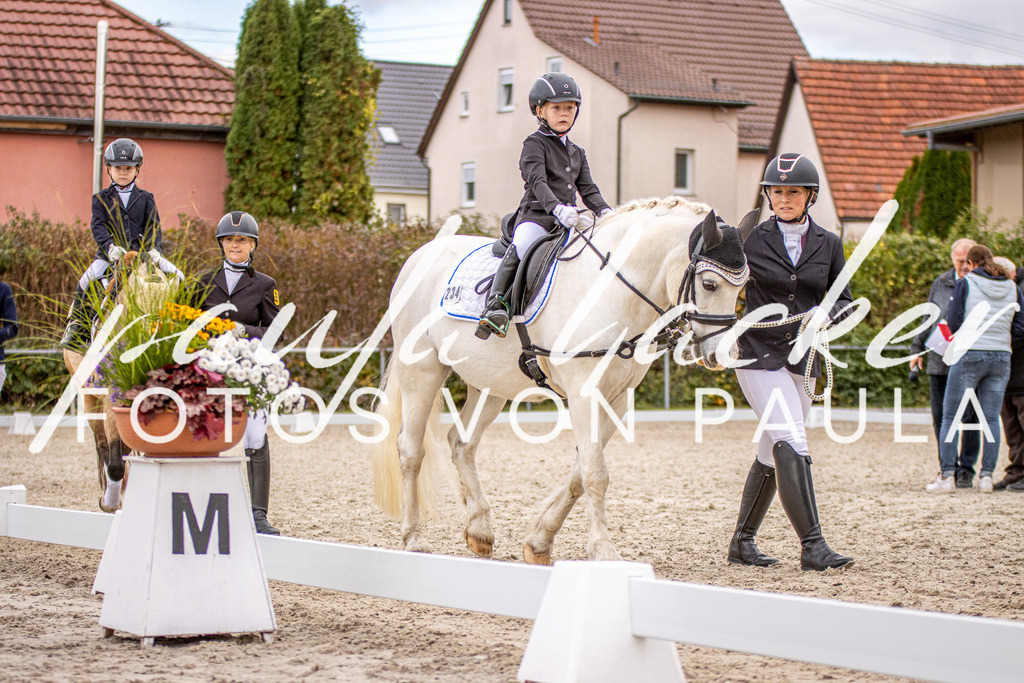 IMG_4055 | Erleben Sie dynamische Sport- und emotionale Tierfotografie in Süddeutschland mit Fotos von Paula. Spezialisiert auf Pferde- und Hundefotografie sowie Sportevents. Kontaktieren Sie mich für einzigartige und ausdrucksstarke Bilder Ihrer besonderen Momente. - Realisiert mit Pictrs.com