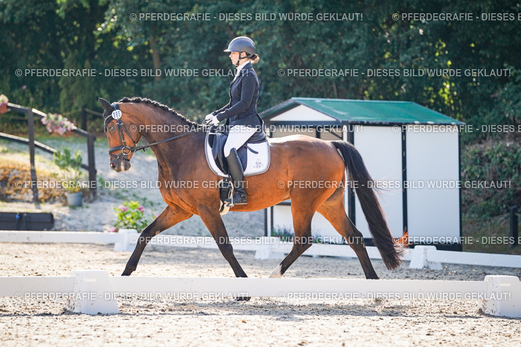 DSC09503 | Pferdegrafie