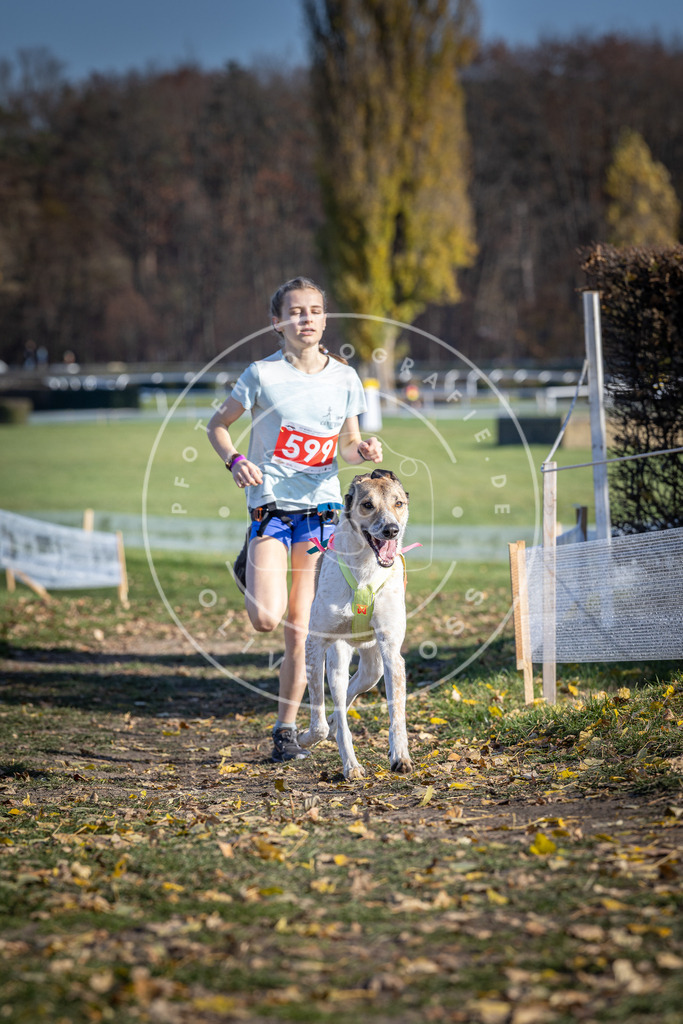 CaniXpix_DV3A9440 | Hundefotografie, Tierfotograf, Pfotenfotografie, Fotoshooting Hund, Hunde Portrait, Hundesport, Hundeportraits, Heideshooting, Hunde, Sportfotograf, Hundefotograf, Turnierhundsport, THS,  - Realisiert mit Pictrs.com