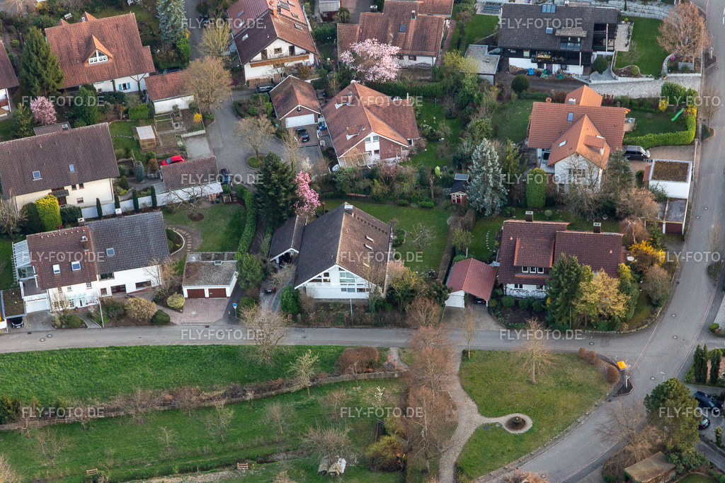 Im Ries | Luftbild: Im Ries im Ortsteil Fessenbach in Offenburg im Bundesland Baden-Württemberg in Deutschland. Foto: IMG_120422.jpg vom 17.03.2020 durch ©2025 Werner Riehm fly-foto.de/copyright - Realisiert mit Pictrs.com