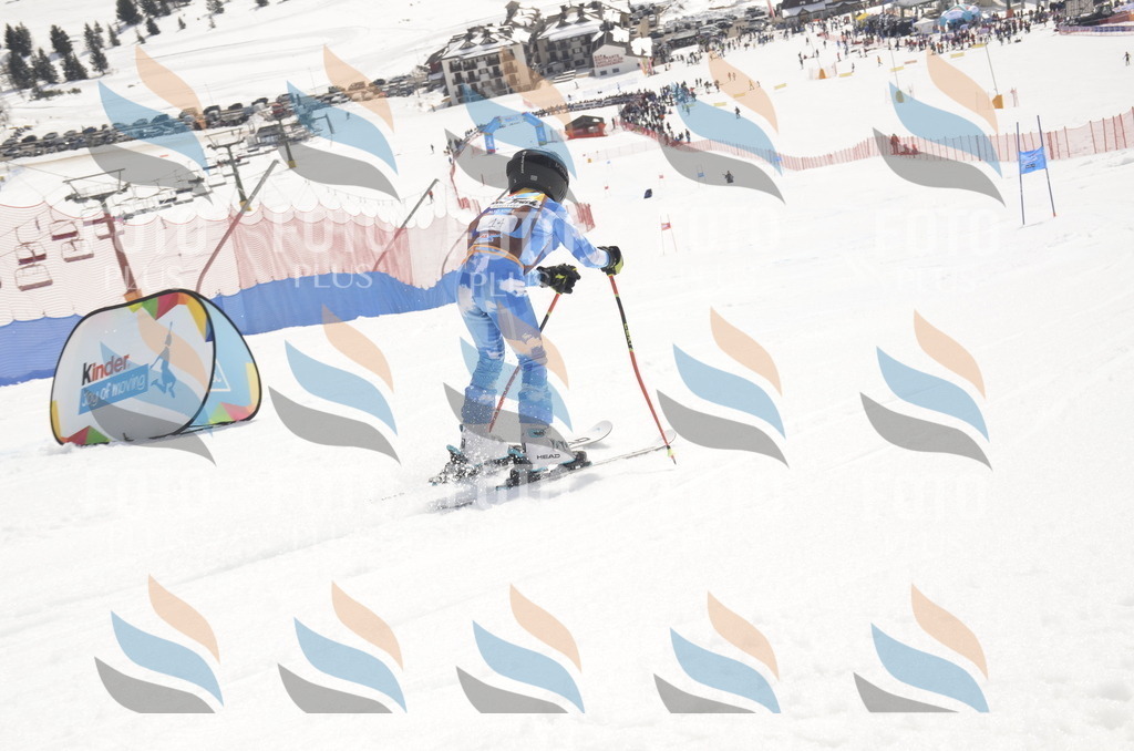 _ELE8620 | holidayphoto