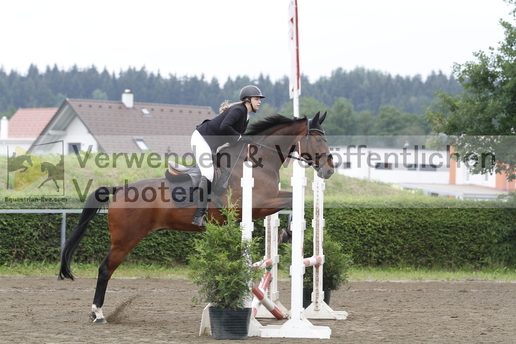 _MG_9683 | equestrian-live-com