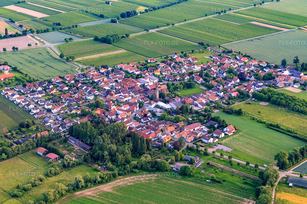 Luftbild: Dorfansicht aus Nordosten in Großfischlingen im Bundesland Rheinland-Pfalz in Deutschland. Foto: IMG_107758.jpg vom 03.06.2018 durch Werner Riehm/FLY-FOTO.de