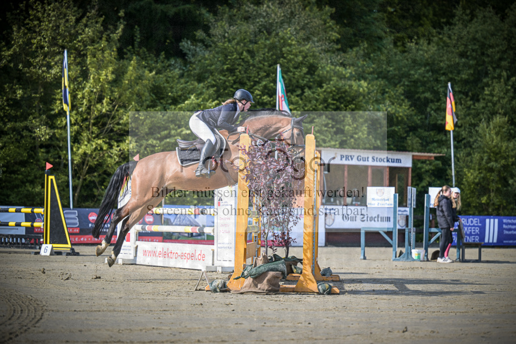 DOS_2804 | Entdecke hochwertige Reitturnierfotos von Foto Oger. Professionell, emotional und authentisch – jetzt Lieblingsmomente im Shop bestellen.Deutschlandweite Turnierfotografie. - Realisiert mit Pictrs.com