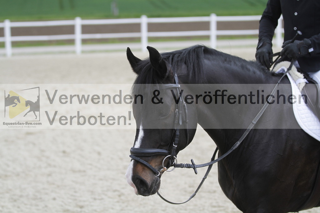 _MG_1834 | equestrian-live-com
