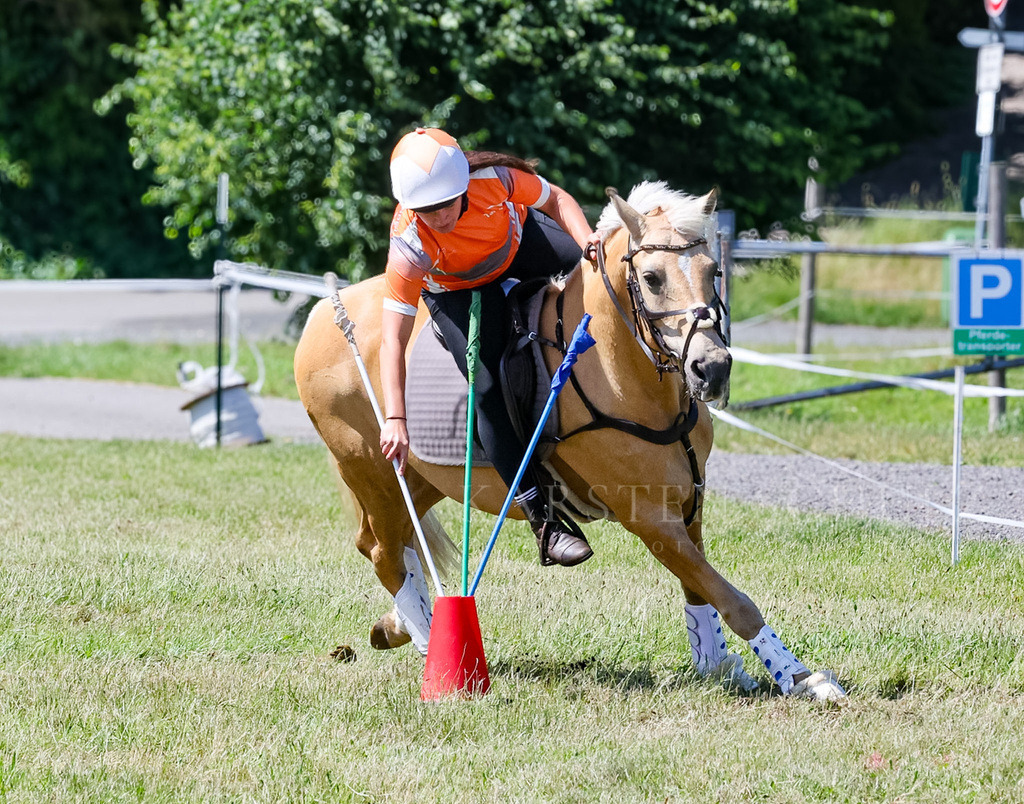 IMG_1627 | Reitsport Reiten