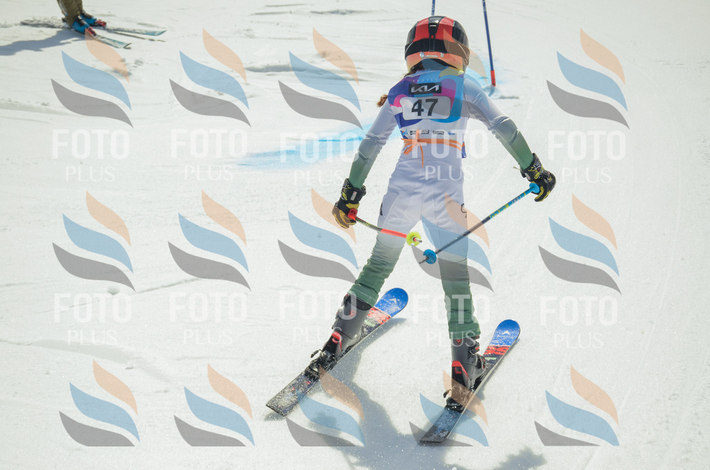 _ELE5150 | holidayphoto