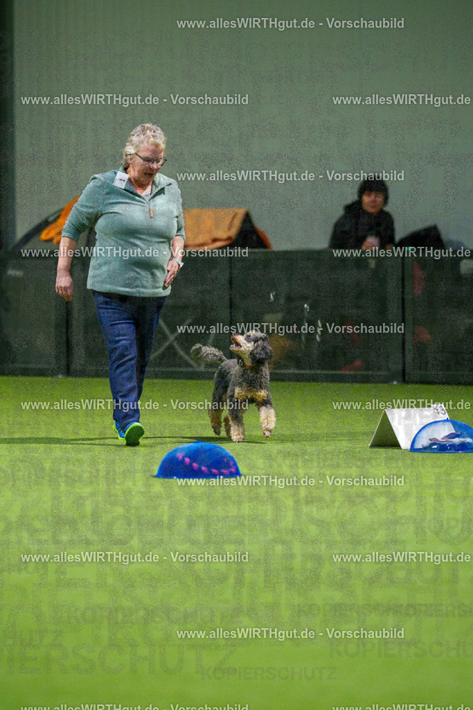 7R504040 | Professionelle Tierfotografie in Mönchengladbach von Daniel Wirth (allesWIRTHgut). Liebevolle & natürliche Bilder von Hunden & Katzen für unvergessliche Erinnerungen.