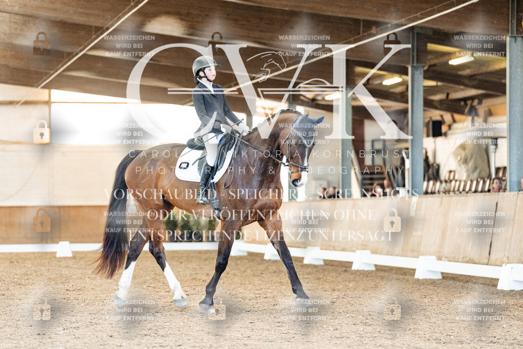 CK908414 | Turnierfotografie Pferdefotografie Trier Rheinland-Pfalz Pferdesport Reitsport Tierfotografie Sportfotografie Pferdevideo Pferdevideografie Equestrianvideography equestrianphotography  - Realisiert mit Pictrs.com