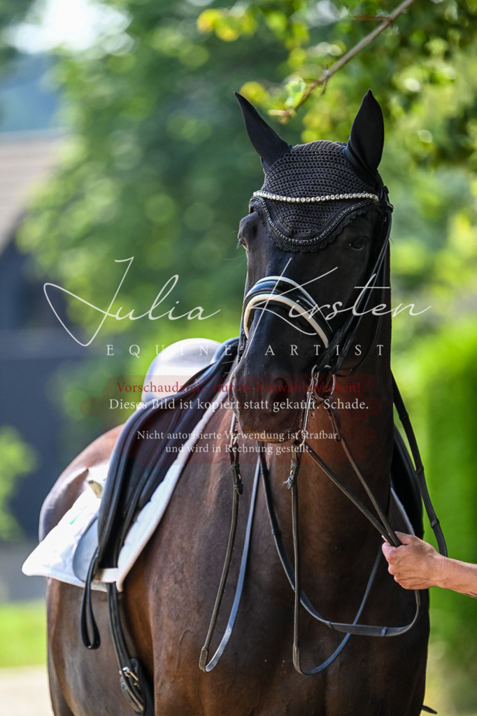 DSC_2775 | Pferde- und Turnierfotografie in Westsachsen. Pferdeportraits, Auftragszeichnungen und intuitive Kunst.