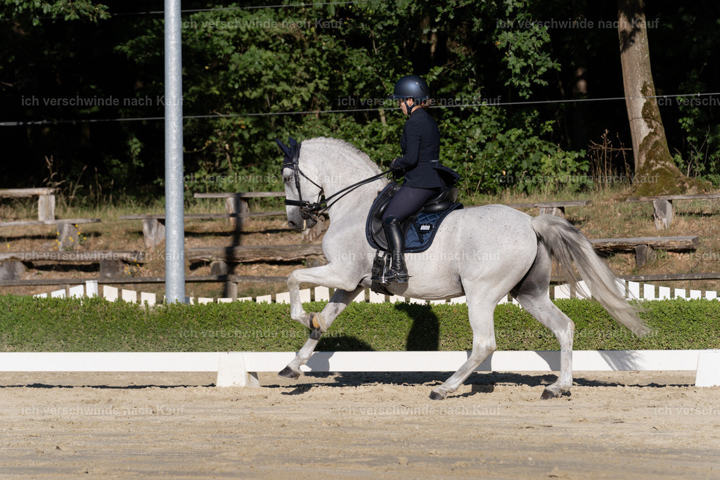 WM_DR_143_sinafilmart_IN04615 | working equitationturnier fotograf videograf stoibphotography marixx film working equitation deutschland reitsport turnierfotografie eventfotografie equestrian events