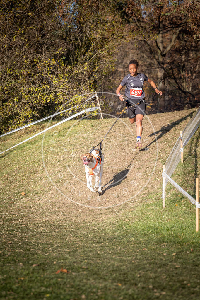 CaniXpix_0L8A9312 | Hundefotografie, Tierfotograf, Pfotenfotografie, Fotoshooting Hund, Hunde Portrait, Hundesport, Hundeportraits, Heideshooting, Hunde, Sportfotograf, Hundefotograf, Turnierhundsport, THS,  - Realisiert mit Pictrs.com