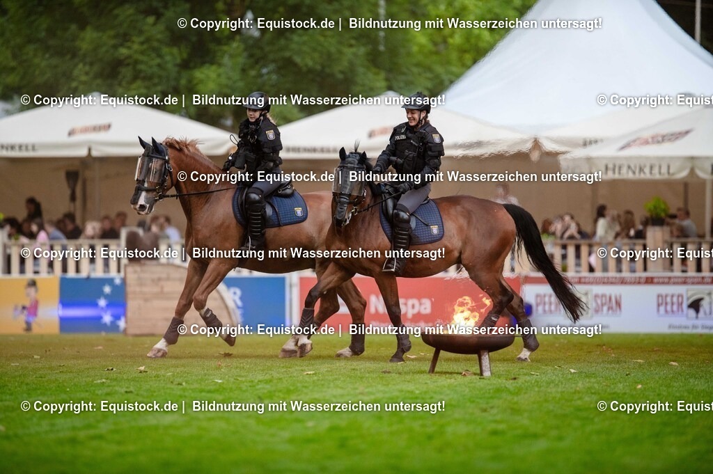 20250606_Lange-Pferdenacht_0785 | Foto: Thomas Hartig