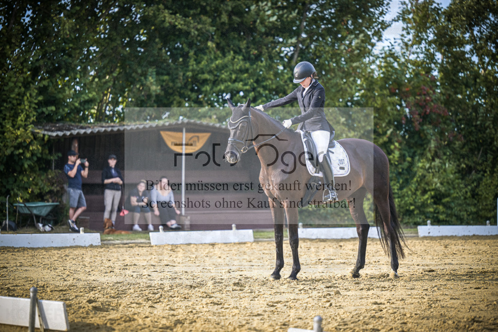 DOS_1155 | Entdecke hochwertige Reitturnierfotos von Foto Oger. Professionell, emotional und authentisch – jetzt Lieblingsmomente im Shop bestellen.Deutschlandweite Turnierfotografie. - Realisiert mit Pictrs.com