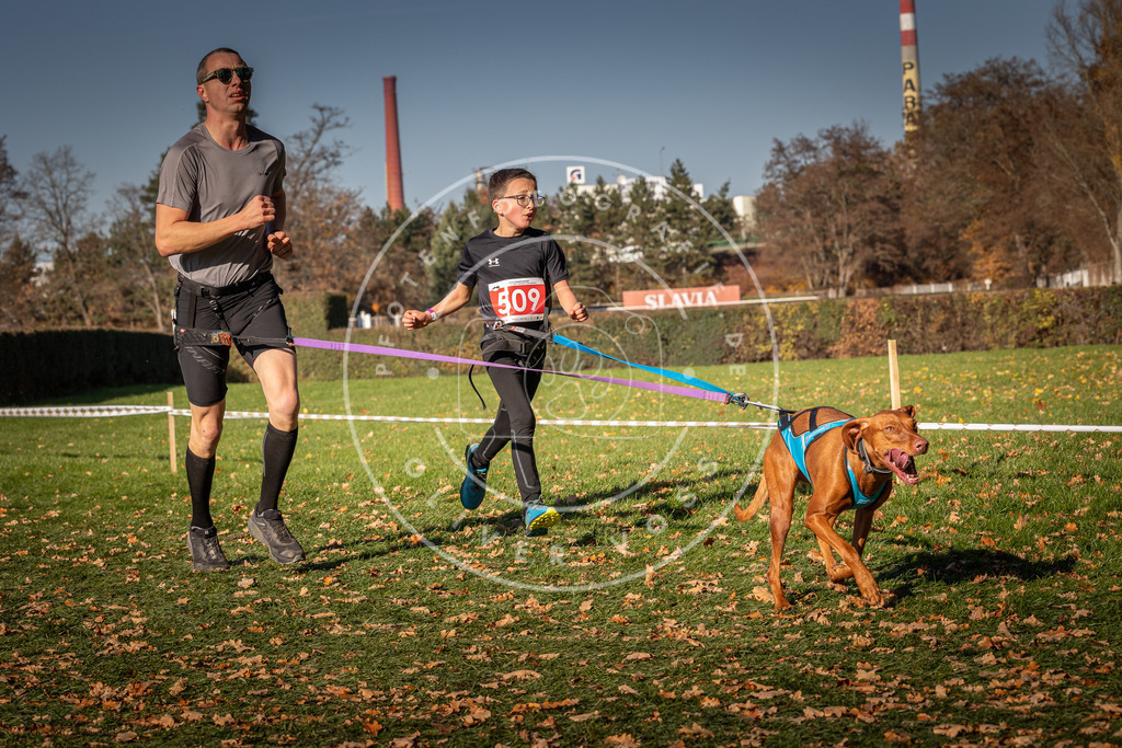 CaniXpix_0L8A6822 | Hundefotografie, Tierfotograf, Pfotenfotografie, Fotoshooting Hund, Hunde Portrait, Hundesport, Hundeportraits, Heideshooting, Hunde, Sportfotograf, Hundefotograf, Turnierhundsport, THS,  - Realisiert mit Pictrs.com