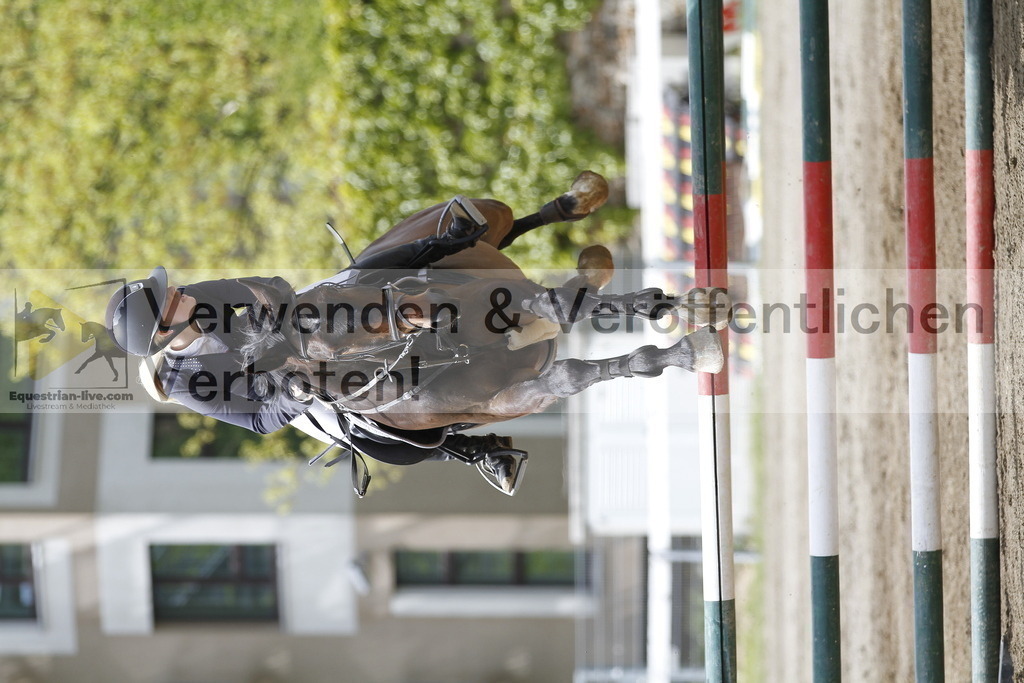 _MG_2162 | equestrian-live-com