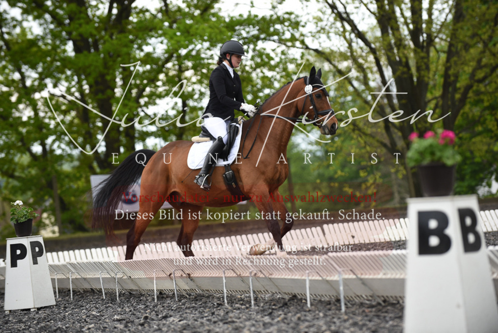 20230513_JK-Röhrsdorf-15-554 | Pferde- und Turnierfotografie in Westsachsen. Pferdeportraits, Auftragszeichnungen und intuitive Kunst.
