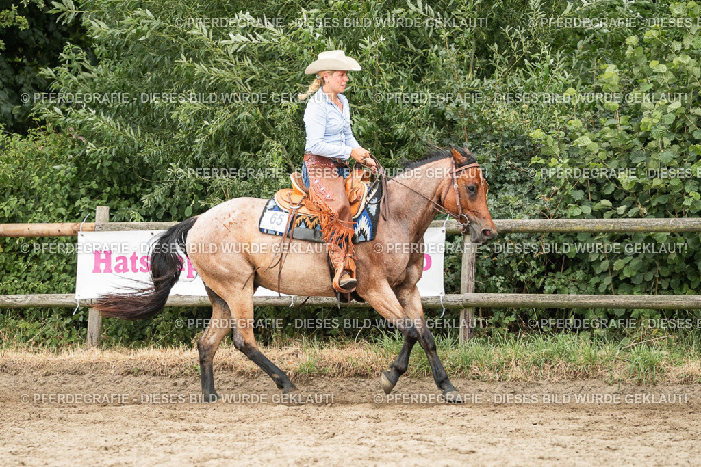 DSC04533 | Pferdegrafie